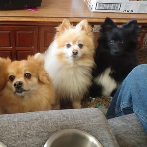 Meet your Posher, Belinda